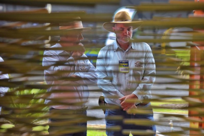 Feira do Cerrado receberá 4 mil cafeicultores em busca de inovação e geração de negócios