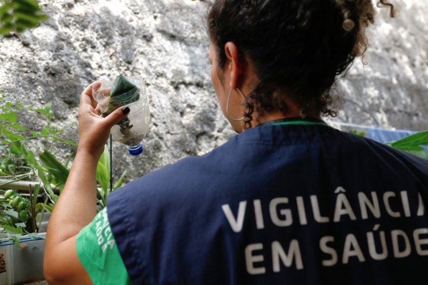 Minas Gerais registra redução de 88,6% nos casos de dengue em 2025