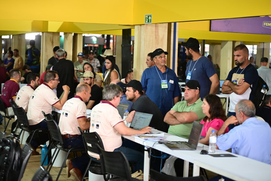 Preço do café estimula produtores a investir em tecnologia e Femagri bate recorde de público