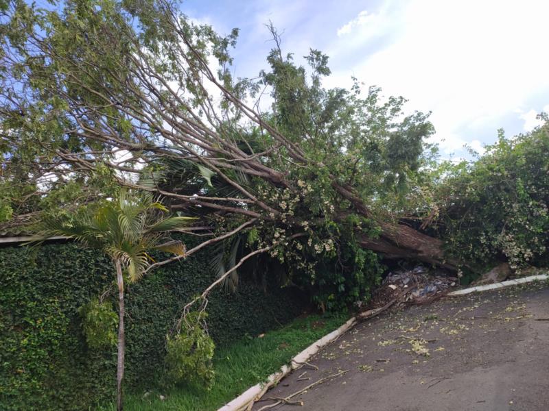 Na tarde desta terça, vendaval e chuva provocam estragos na cidade