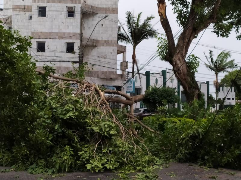 Na tarde desta terça, vendaval e chuva provocam estragos na cidade