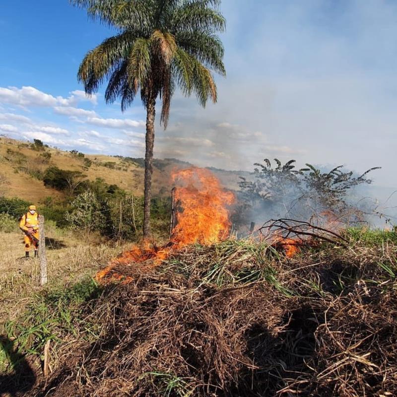 Bombeiros combatem diversos focos de incêndio florestal em Guaxupé e região