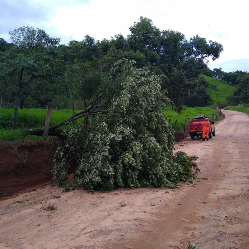 Carro estacionado em pesqueiro foi atingido por árvore em Guaxupé