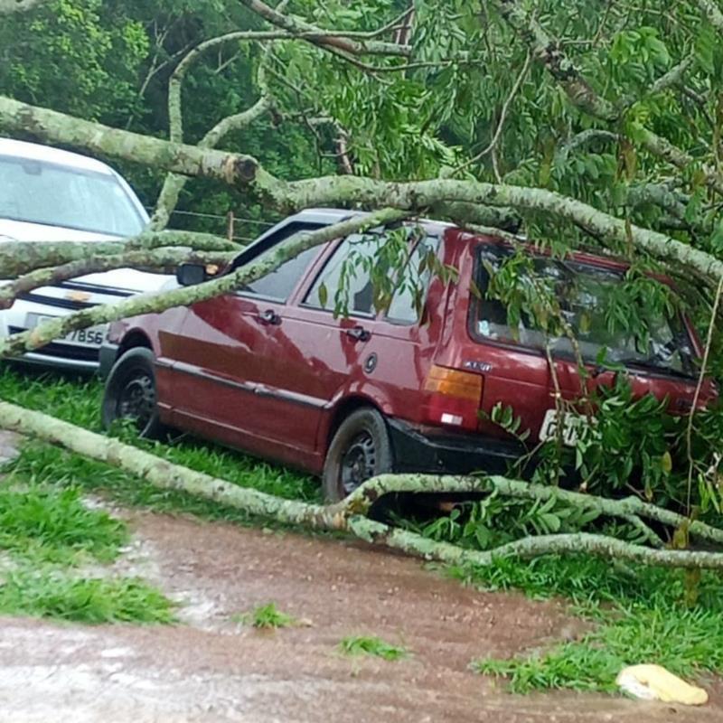 Carro estacionado em pesqueiro foi atingido por árvore em Guaxupé