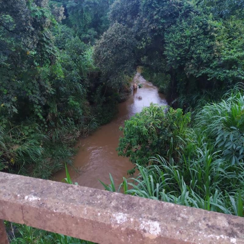 Cavalo atolado no rio Guaxupé é resgatado pelos Bombeiros