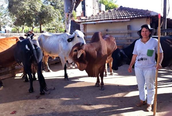 Mulheres estão acessando mais o crédito rural em Minas Gerais