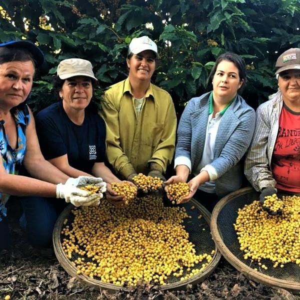 Mulheres estão acessando mais o crédito rural em Minas Gerais