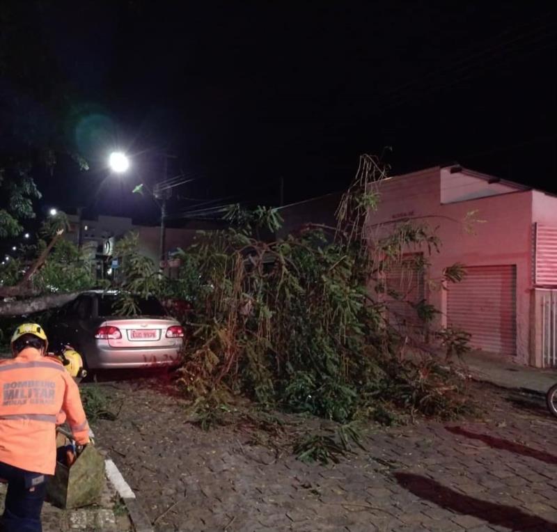 Queda de galhos atinge veículo no centro de Guaxupé