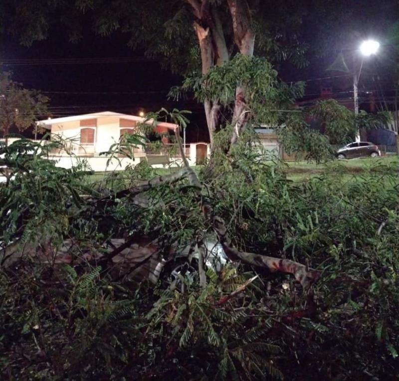 Queda de galhos atinge veículo no centro de Guaxupé