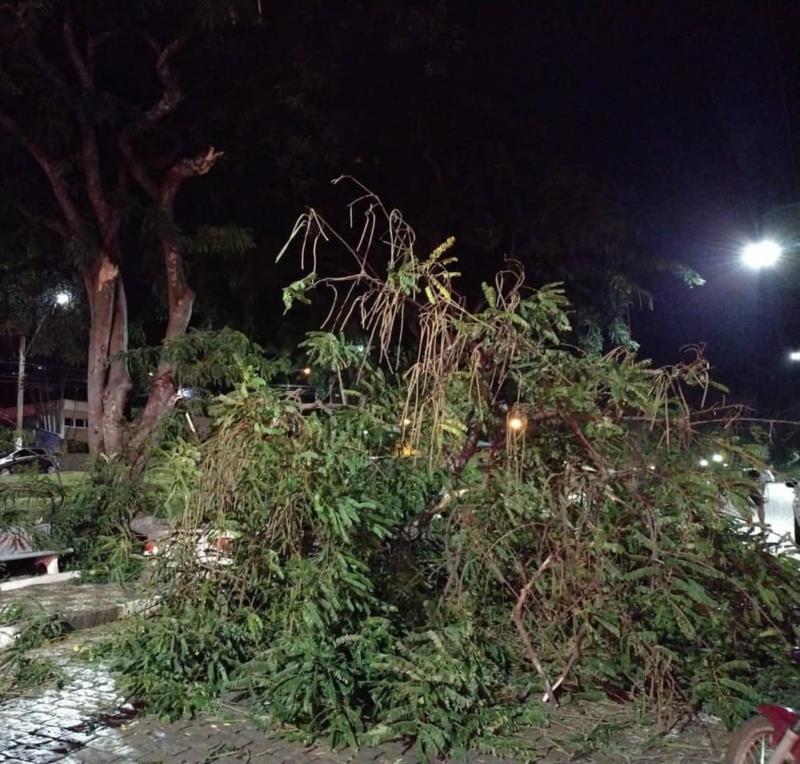 Queda de galhos atinge veículo no centro de Guaxupé