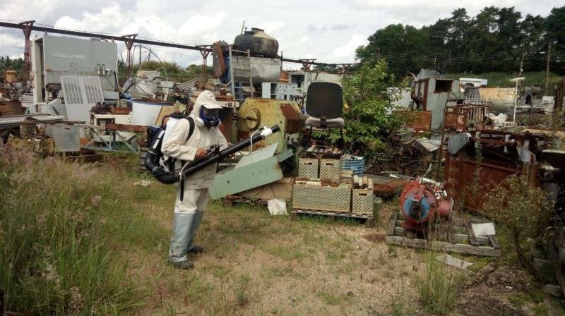 Levantamento aponta como médio o risco de proliferação do Aedes aegypti em Guaxupé