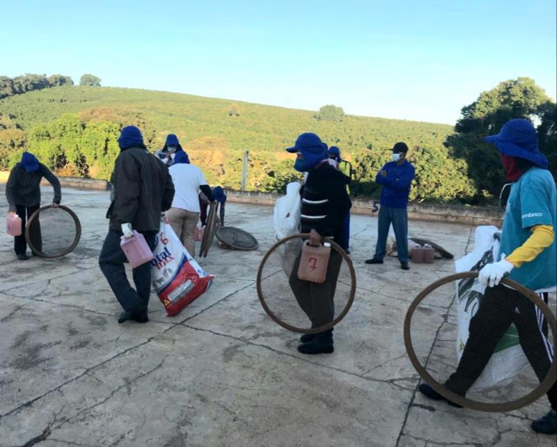 Emater-MG divulga cartilha com cuidados contra a Covid-19 na colheita do café