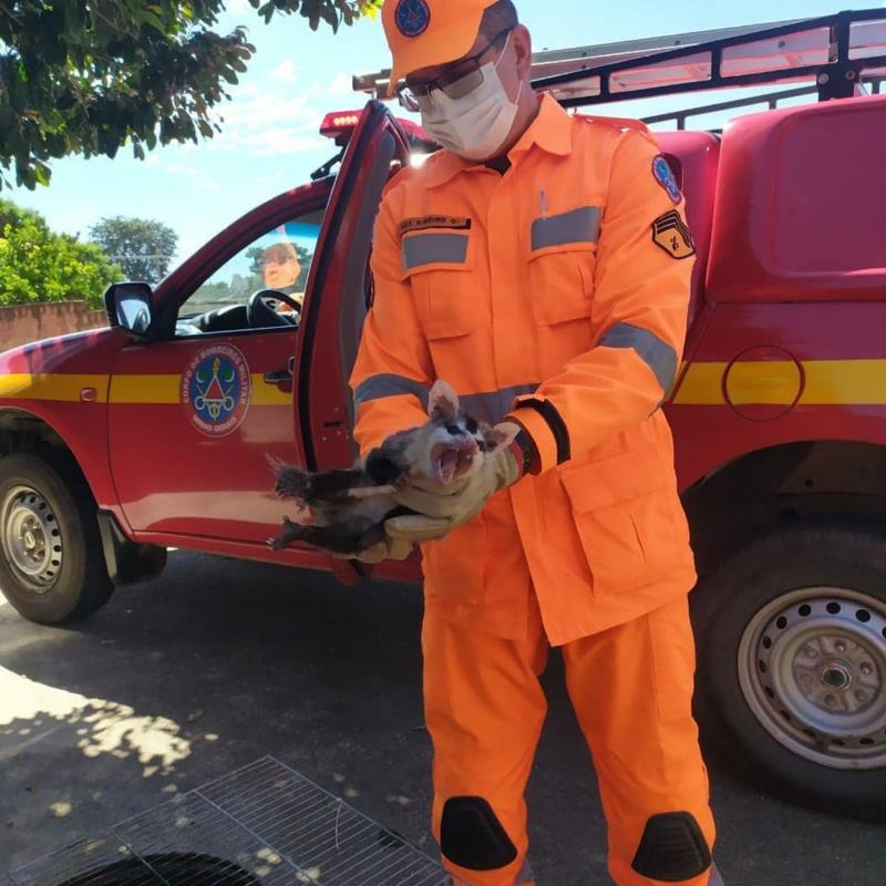 Equipe de Bombeiros tem sábado agitado em Guaxupé