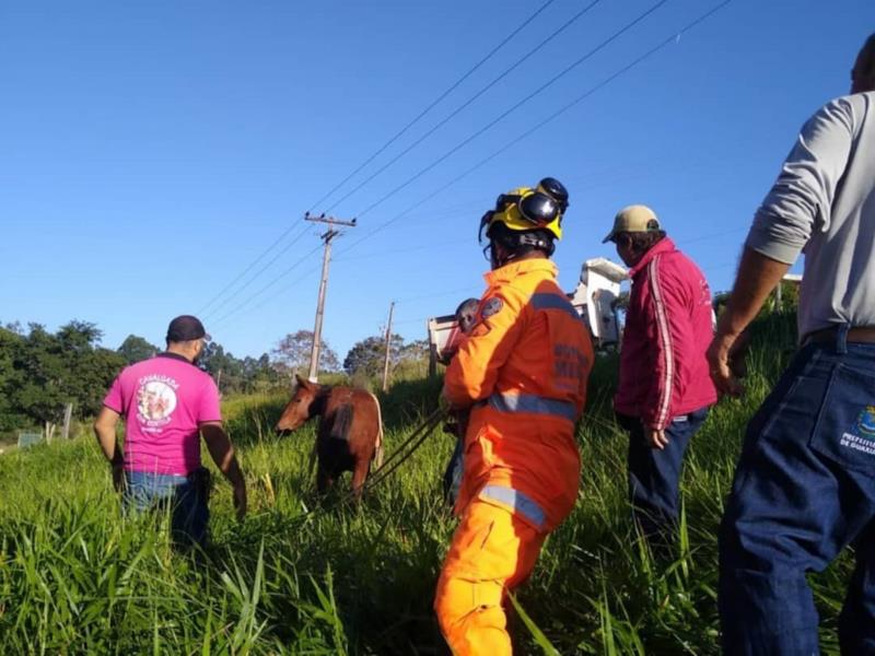 Equipe de Bombeiros tem sábado agitado em Guaxupé