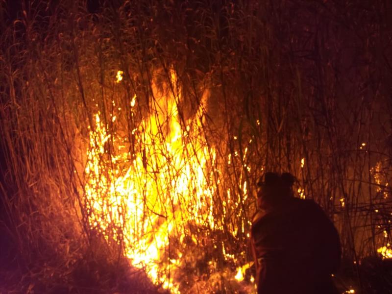 Bombeiros combatem incêndio na BR-491, próximo à Fazenda Máquina