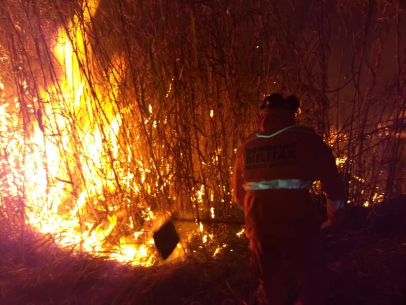 Bombeiros combatem incêndio na BR-491, próximo à Fazenda Máquina