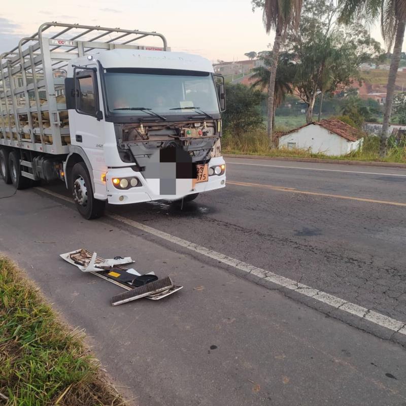 Equino solto na pista é atropelado, morre no local e causa acidente em Guaxupé