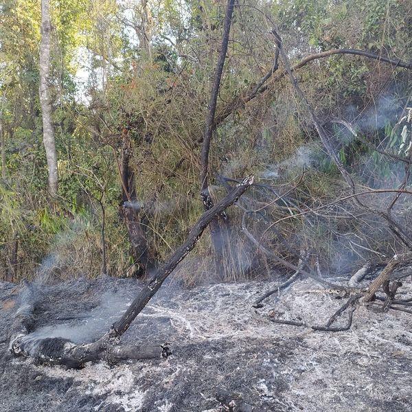 Bombeiros combatem incêndio no residencial Fazenda Planalto  