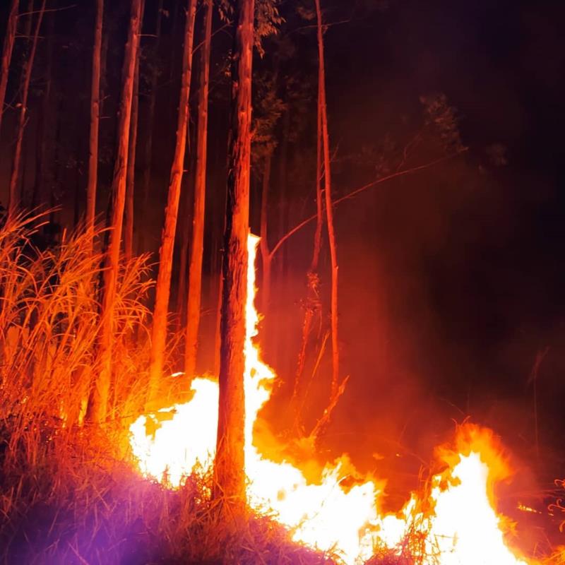 Incêndios em Guaranésia queimaram 35 hectares de vegetação