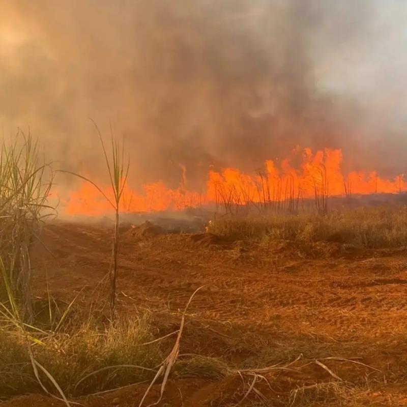 Incêndios de grandes proporções continuam devastando vegetações em Guaxupé e na região