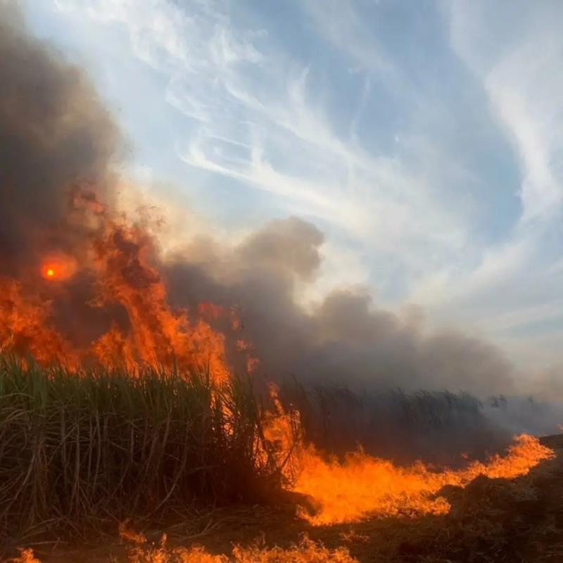 Incêndios de grandes proporções continuam devastando vegetações em Guaxupé e na região