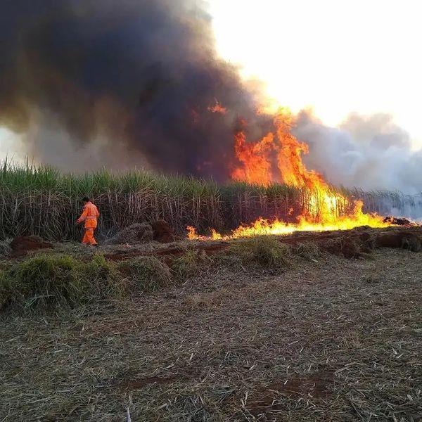 Incêndios de grandes proporções continuam devastando vegetações em Guaxupé e na região