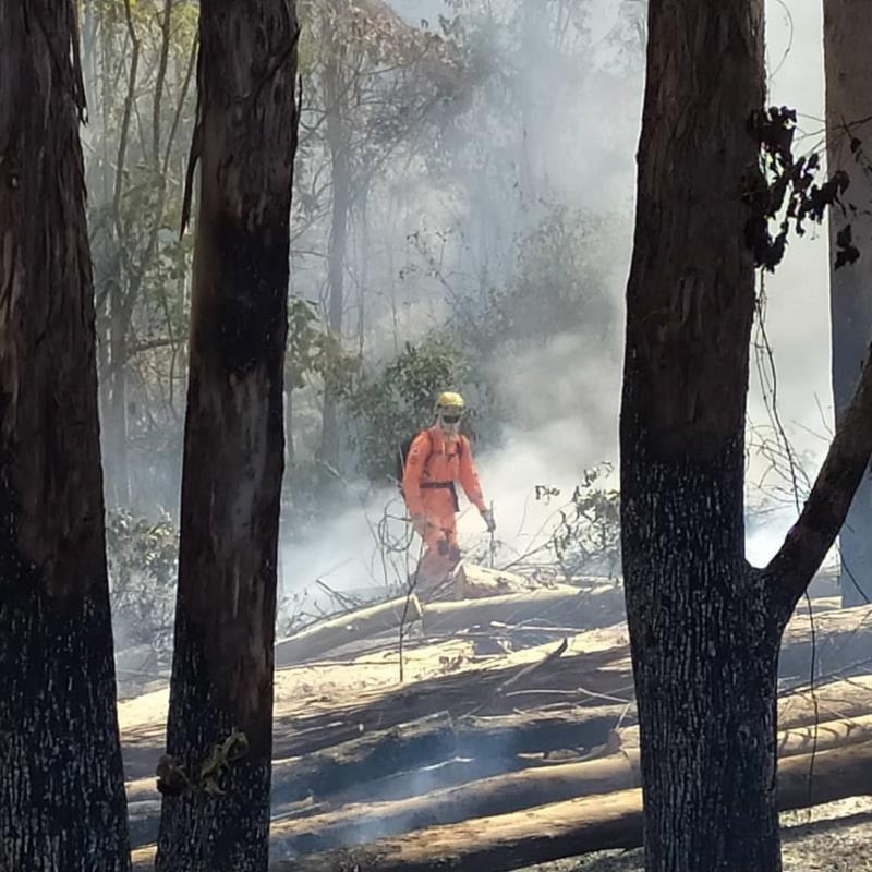 Bombeiros combatem diversos incêndios em vegetação em Guaxupé e região neste sábado