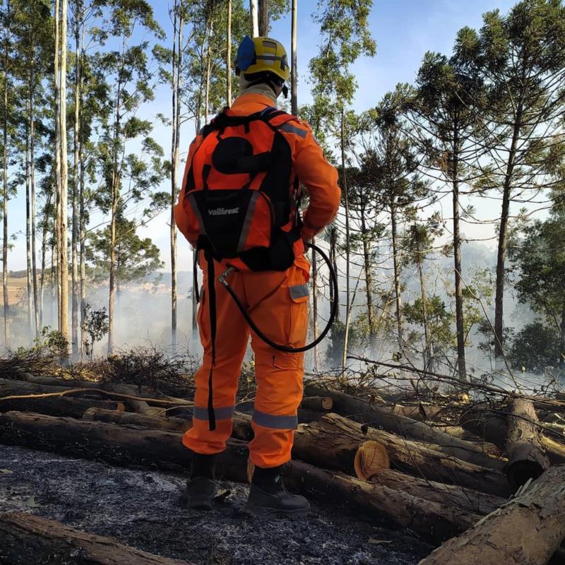 Bombeiros combatem diversos incêndios em vegetação em Guaxupé e região neste sábado