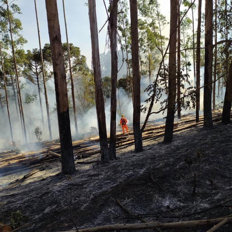 Bombeiros combatem diversos incêndios em vegetação em Guaxupé e região neste sábado