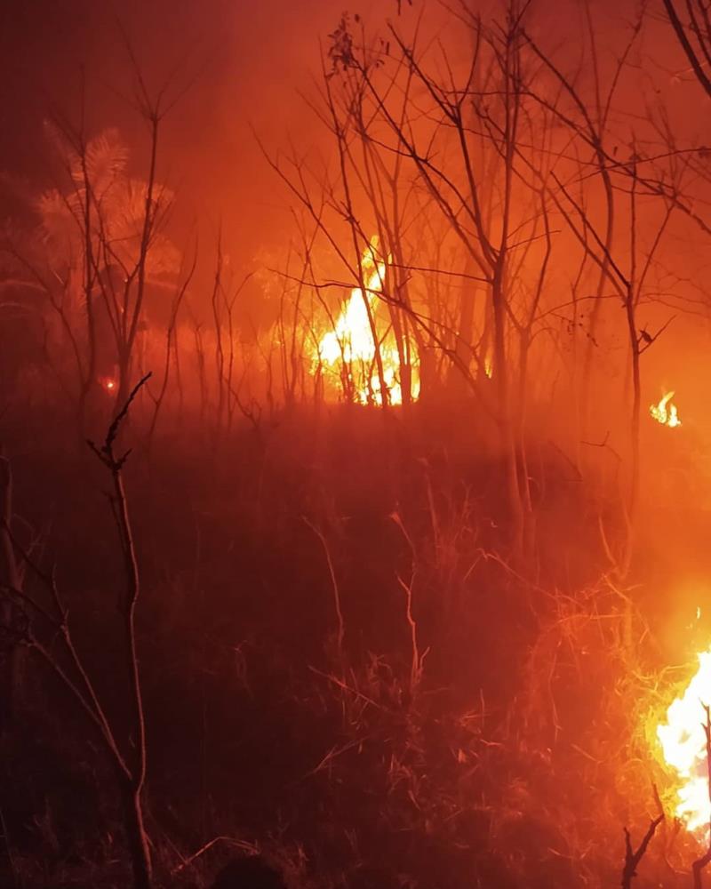 Pela terceira vez consecutiva, em menos de 10 dias, bombeiros combatem incêndio de grandes proporções no mesmo local