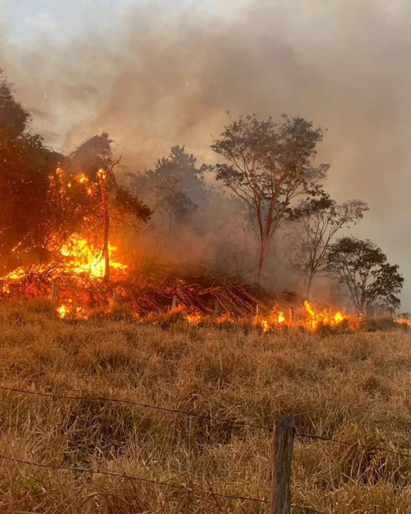 Depois de cinco horas, bombeiros conseguem extinguir incêndio que consumiu cerca de 120 hectares na fazenda Brejão