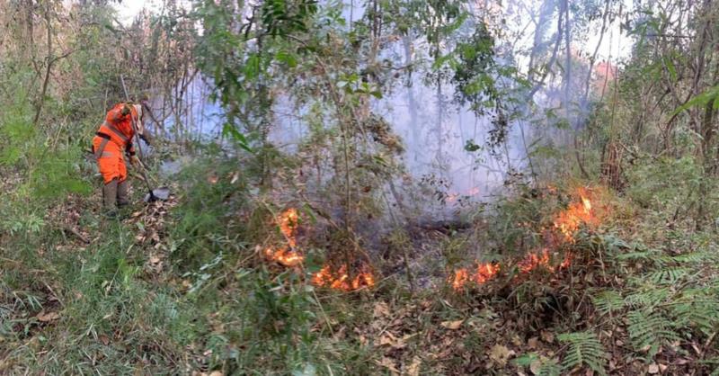 Incêndio atinge área de preservação permanente na fazenda Santa Terezinha, entre Guaxupé e Tapiratiba