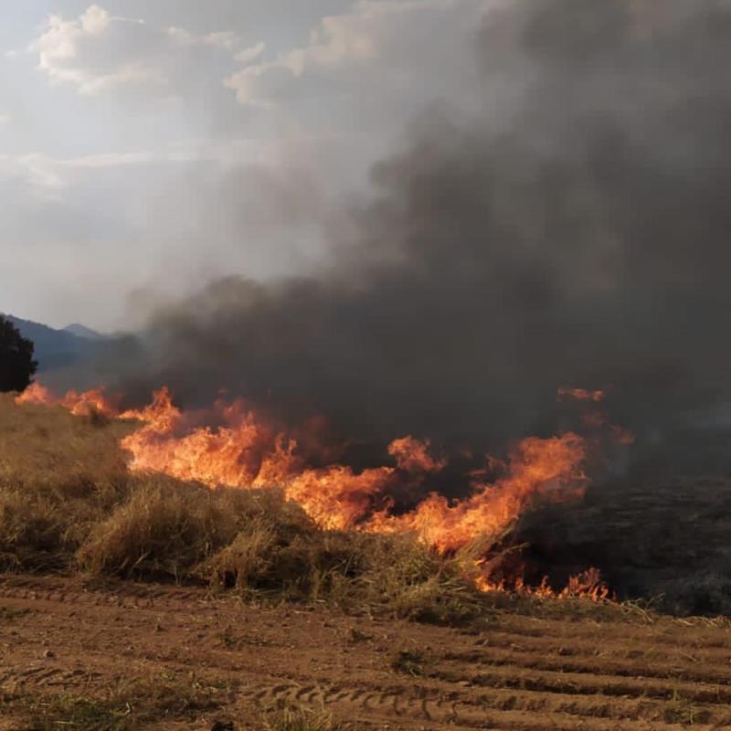 Mais 50 hectares em área de pastagem foram incendiados em Guaxupé