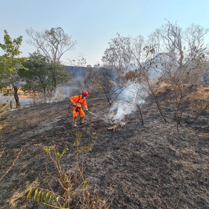 Mais 50 hectares em área de pastagem foram incendiados em Guaxupé