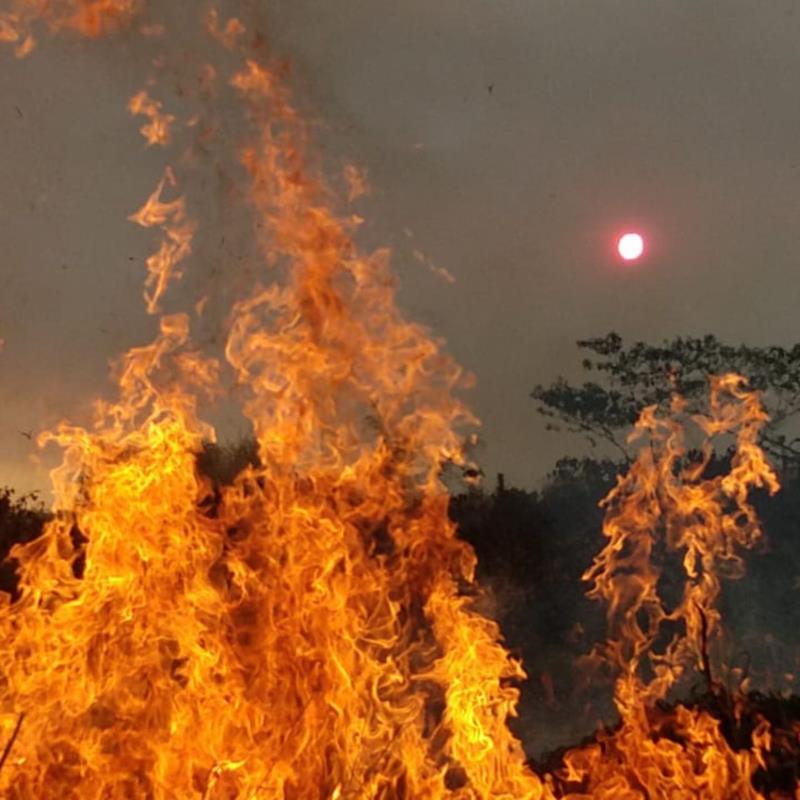 Ocorrências de incêndios em Guaxupé e região já superaram os anos anteriores