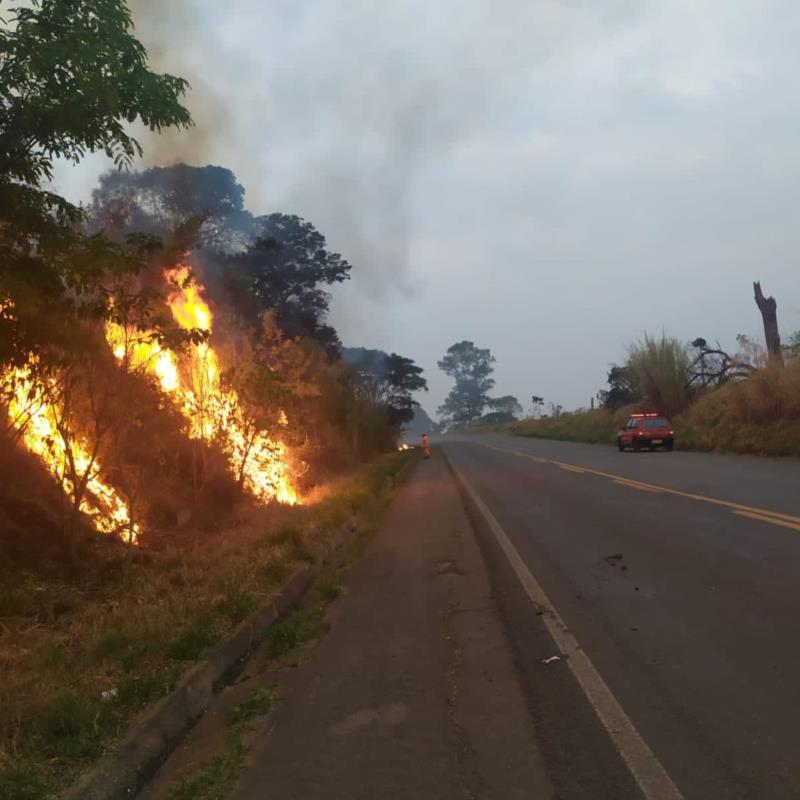 Nova ocorrência de incêndio às margens da BR-491 mobiliza o Corpo de Bombeiros de Guaxupé