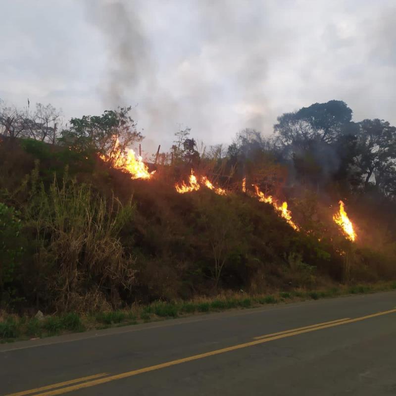 Nova ocorrência de incêndio às margens da BR-491 mobiliza o Corpo de Bombeiros de Guaxupé