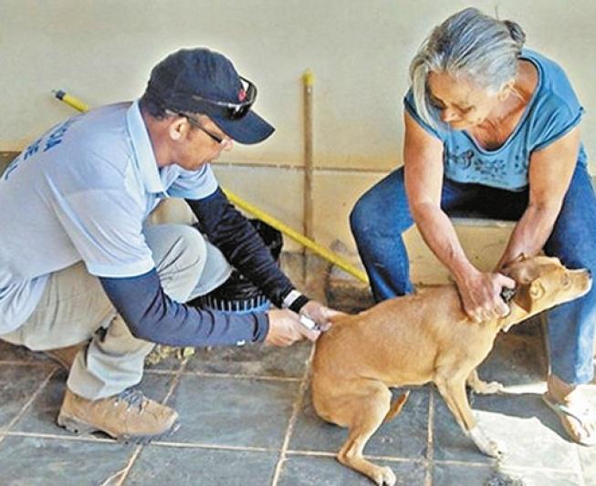 Vacinação antirrábica na zona urbana de Guaxupé tem início nesta segunda-feira, 4 de outubro