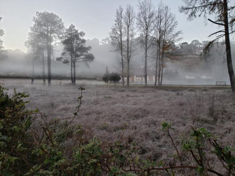 Início de agosto tem queda brusca de temperaturas e geada no Sul de Minas