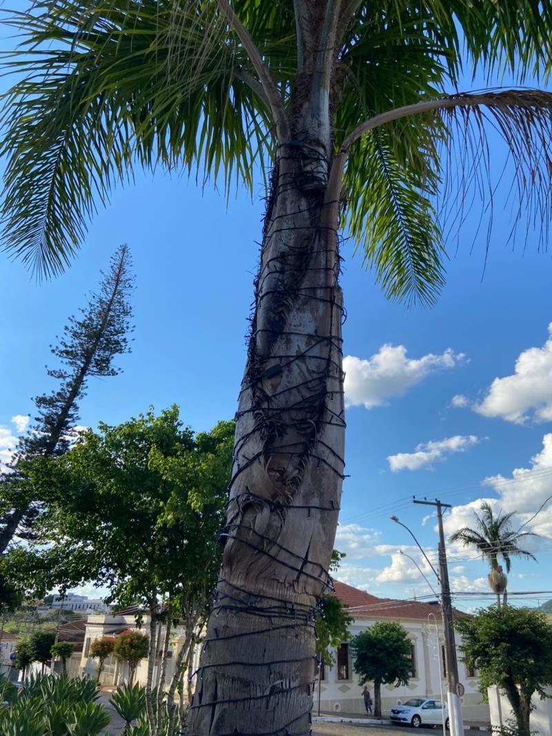 Vândalos destroem parte da decoração do Natal de Luz em Guaxupé