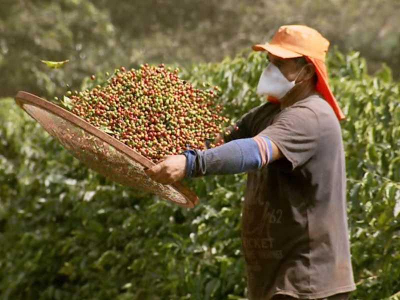 Em Paraíso, desemprego atinge 1.047 trabalhadores no intervalo de 60 dias