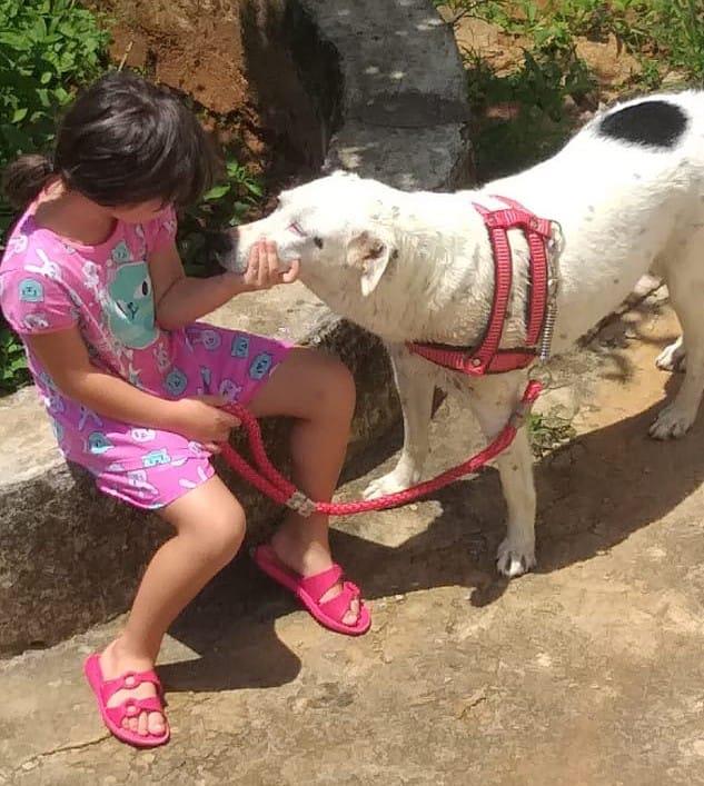 Crianças e cãezinhos