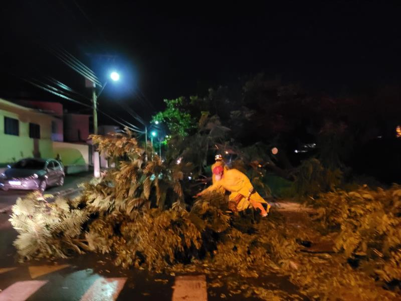 Temporal em Guaxupé destelhou casa e derrubou árvores