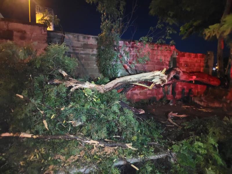 Temporal em Guaxupé destelhou casa e derrubou árvores