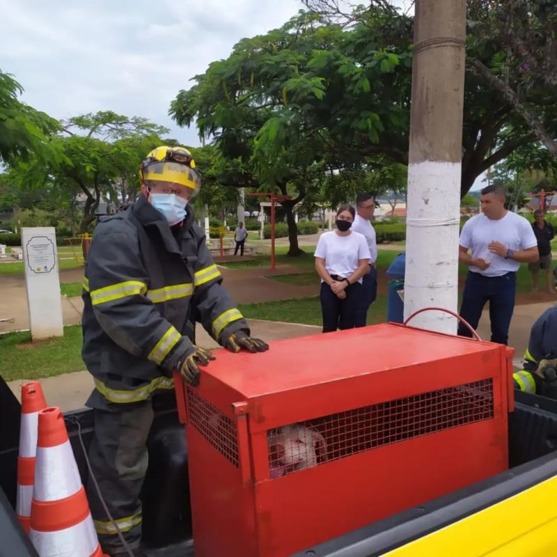 Bombeiros capturam cães Pitbulls que estavam atacando as pessoas na Praça da Rodoviária, em Guaxupé 