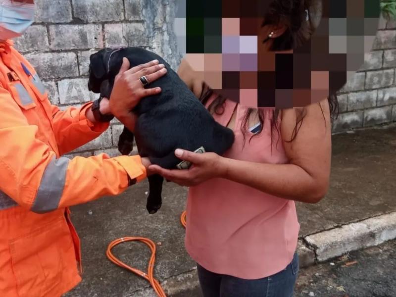 Cãozinho preso sob portão foi resgatado pelos Bombeiros em Guaxupé