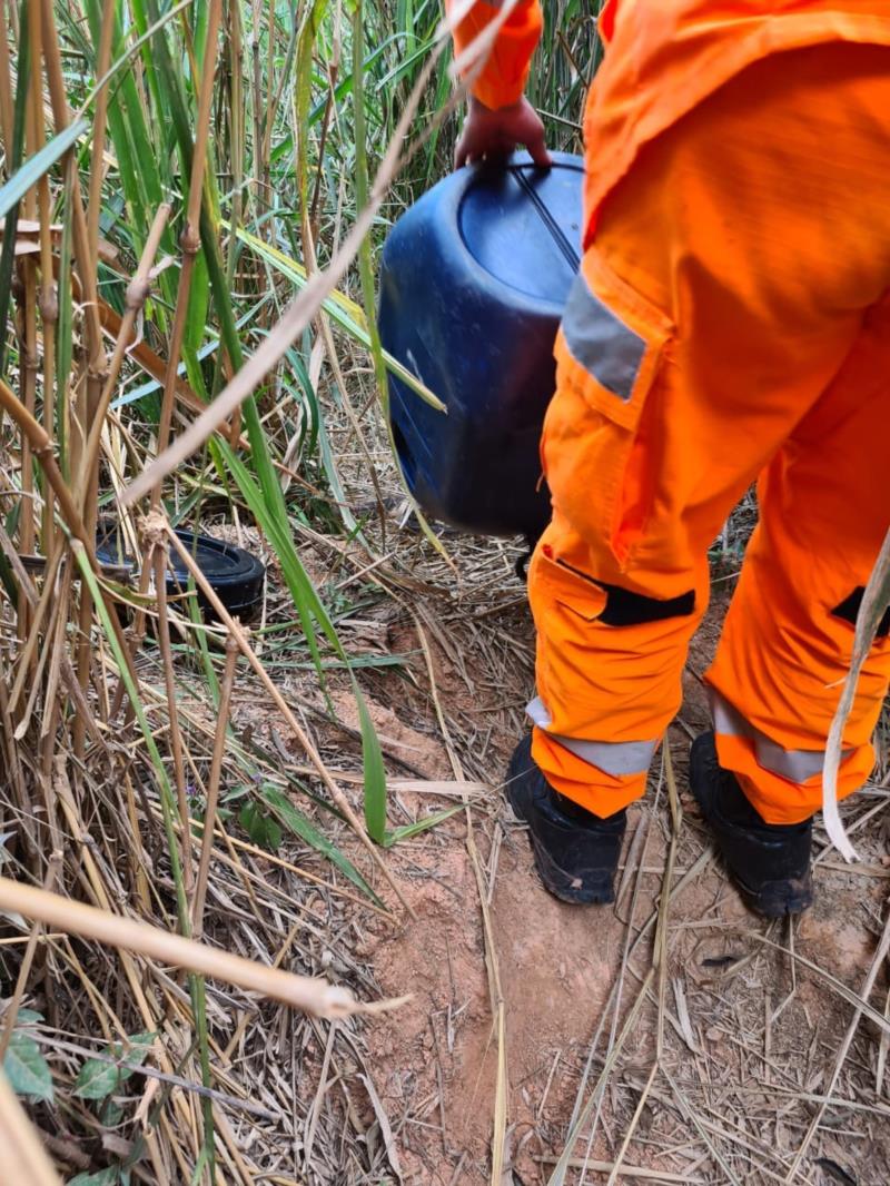 Em Guaranésia, Cascavel é capturada no interior de residência pelos bombeiros