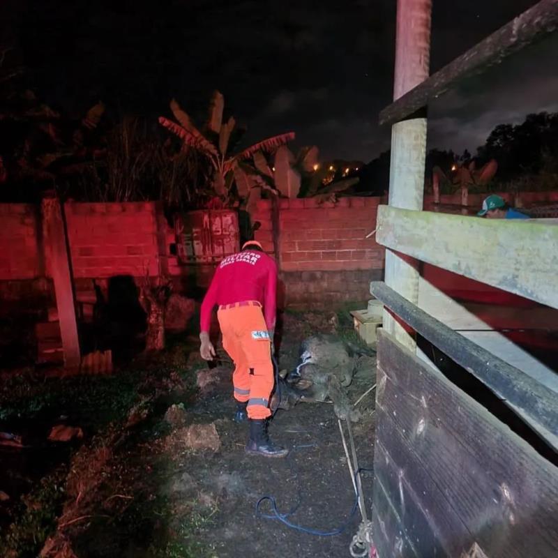 Bombeiros capturaram cascavel em Juruaia e resgataram bezerro em Guaxupé 