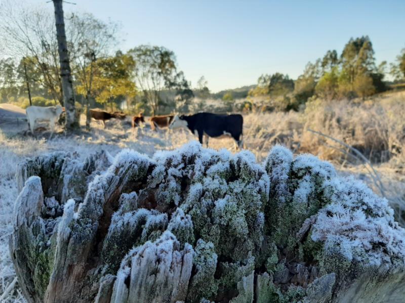 De acordo com o Inmet, as temperaturas continuarão baixas, podendo haver formação de geada em algumas regiões do Brasil