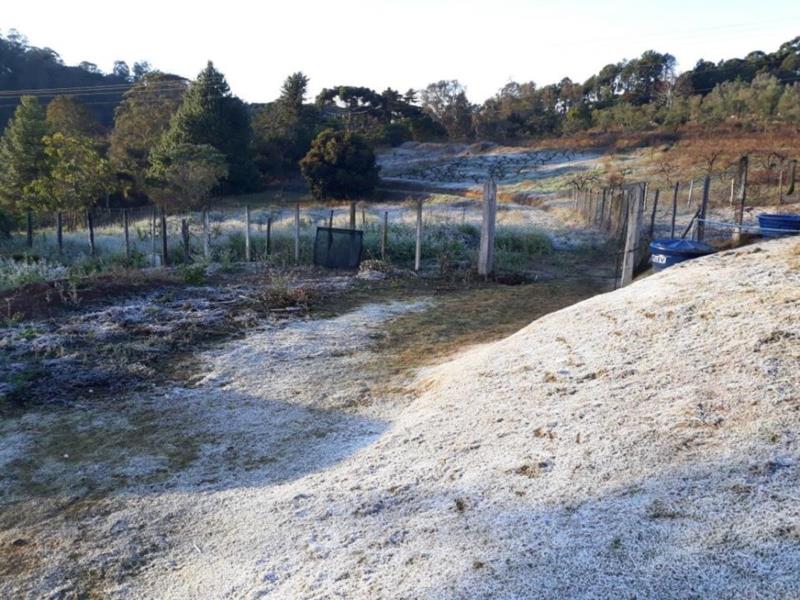 Frio polar que causará neve no Sul do país vai fazer gear em Minas nesta semana